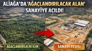 Kalabak'ta Ağaçlandırılacak Alan Yerine 'Atık Geri Kazanım' Alanı
