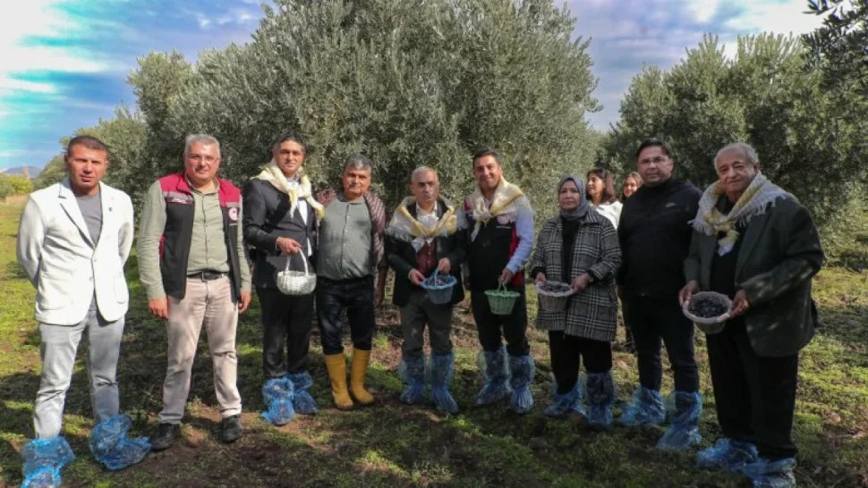 Çıtak Köyü’nde Renkli Görüntüler: 4. Zeytin Hasat Şenliği Coşkuyla Gerçekleşti